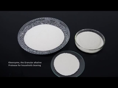 Enzyme tẩy rửa protease cellulase amylase