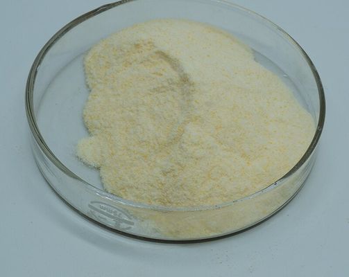 Giá tốt. 99% Hoạt động Xylanase Enzyme Phụ gia Thực phẩm Hòa tan trong nước trực tuyến