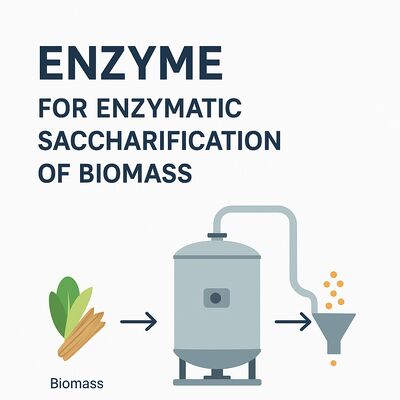 Giá tốt. Enzyme cồn ổn định được tối ưu hóa để phân hủy cồn trong sản xuất nhiên liệu sinh học và hệ thống xử lý môi trường trực tuyến