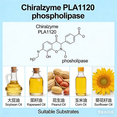 Giá tốt. Chiralzyme PLA1120 Ứng dụng Phospholipase A1 hiệu quả cao để làm sạch dầu KDN trực tuyến