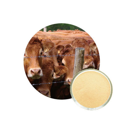 Giá tốt. Enzyme protease kiềm trong thức ăn gia cầm trực tuyến