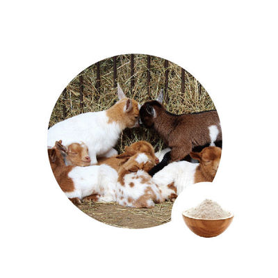 Giá tốt. Phụ gia thực phẩm Glucose Oxidase Số Ec 1.1.3.4 trực tuyến