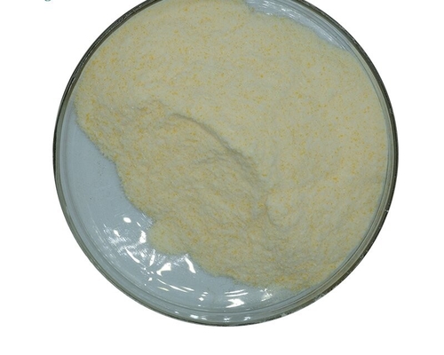Giá tốt. CAS 9001-62-1 99% Lipase Enzyme Bột Phụ gia cấp thực phẩm trực tuyến