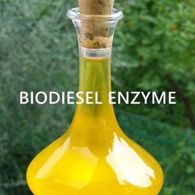 Giá tốt. Kỹ thuật Enzyme Lipase cho các ứng dụng dầu năng lượng sinh học bền vững trực tuyến