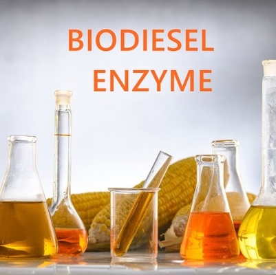 Giá tốt. Enzyme Esterase axit béo hòa tan cao cho các ứng dụng dược phẩm trực tuyến