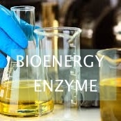 Giá tốt. Sản xuất enzyme diesel sinh học ổn định tạo điều kiện cho việc sản xuất nhiên liệu bền vững trực tuyến