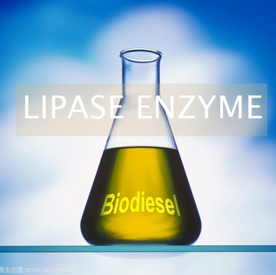 Giá tốt. Nhiên liệu sinh học thay thế Lipase Enzyme trong sản xuất PH 6.0 - 8.0 trực tuyến
