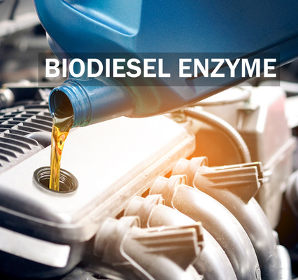 Giá tốt. Tăng cường sự ổn định của enzyme Lipase để cải thiện năng suất và chất lượng dầu diesel sinh học trực tuyến