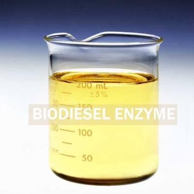 Giá tốt. Sản xuất chất hoạt động bề mặt sinh học Enzyme Lipase để cải thiện thu hồi dầu diesel sinh học trực tuyến