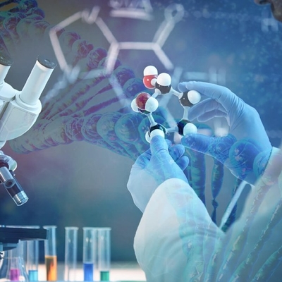 Giá tốt. Đi đầu trong cuộc thi: Khai thác toàn bộ tiềm năng của Candida ở Nam Cực Lipase B trực tuyến