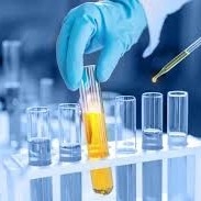 Giá tốt. Trải nghiệm hiệu quả và độ chính xác nâng cao trong sản xuất dược phẩm với CALB Enzyme trực tuyến