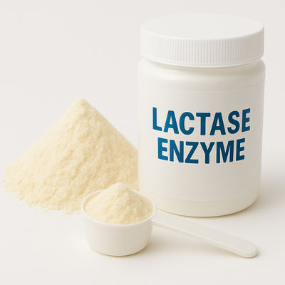 Giá tốt. Beta-Galactosidase Enzyme Lactase thay thế cho các sản phẩm sữa không chứa lactose Enzymes thực phẩm trực tuyến