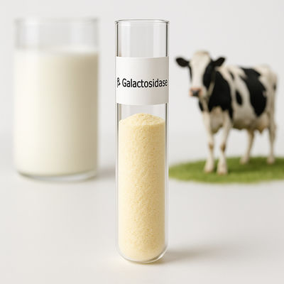 Giá tốt. Liều lượng tùy chỉnh sữa sữa không chứa lactose trong bột màu vàng nhạt cho các nhu cầu chế biến khác nhau trực tuyến