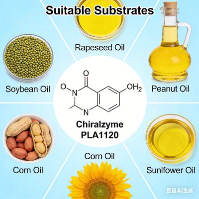 Giá tốt. KDN Chiralzyme PLA1120: Enzyme khử mỡ cao cấp cho tinh chế dầu thô trực tuyến