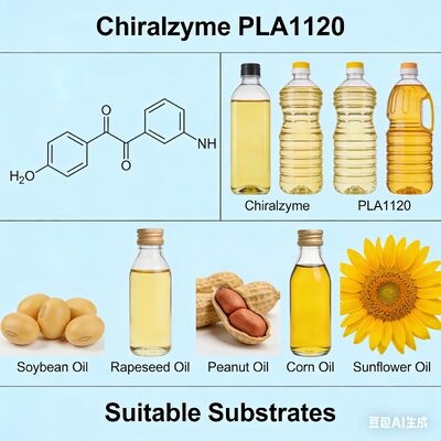 Giá tốt. Chiralzyme PLA1120. Enzyme cấp thực phẩm để tiết kiệm chi phí tinh chế dầu trực tuyến