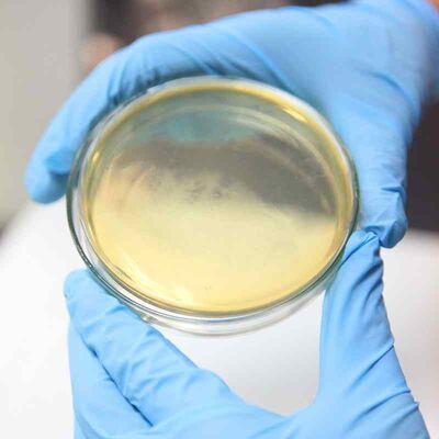 Giá tốt. Enzyme định cỡ bề mặt bột được thiết kế để tối ưu hóa đặc tính bề mặt giấy và tăng độ bền trong dây chuyền sản xuất giấy trực tuyến