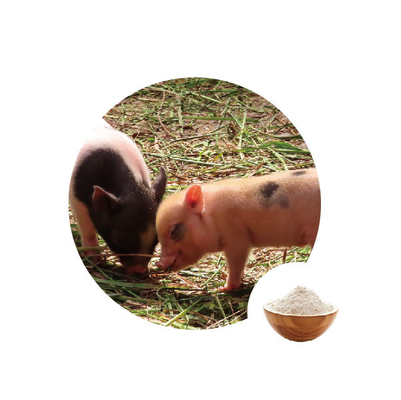 Giá tốt. Chất kết dính độc tố cho thức ăn gia súc Glucose Oxidase Gluconic Axit Enzyme trong Dinh dưỡng Gia cầm trực tuyến